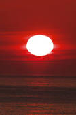 tkf001_830267