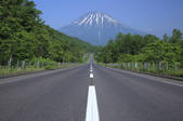 tkf001_830334