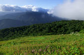 tkf001_830578