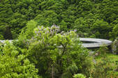tkf001_832214