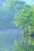 tkf001_833281