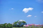 tkf001_833907
