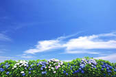 tkf001_833909