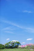 tkf001_833910