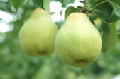 tkf001_834087