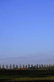 tkf001_835990