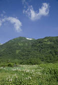 tkf001_836566