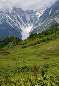 tkf001_836572