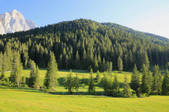 tkf001_836673