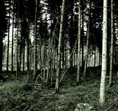 tkf001_464083