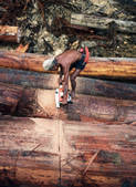 tkf001_469274