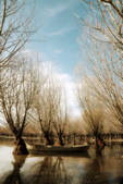 tkf001_470414