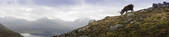 tkf001_493603