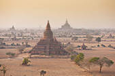 tkf001_501380