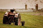 tkf001_504358
