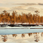tkf001_507894