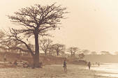 tkf001_510959