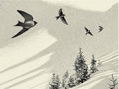 tkf001_514052