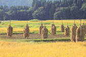 tkf001_551465
