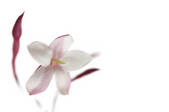 tkf001_552911