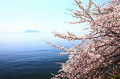 tkf001_553167