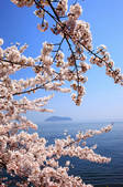 tkf001_553189
