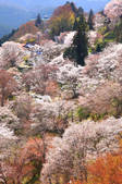 tkf001_553520
