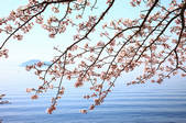 tkf001_553637
