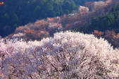 tkf001_553897