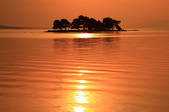 tkf001_554011