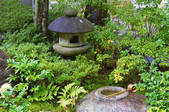 tkf001_554117