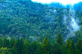 tkf001_554135