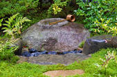 tkf001_554333