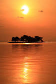 tkf001_554494