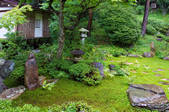 tkf001_554562