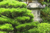 tkf001_554606