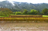 tkf001_554638