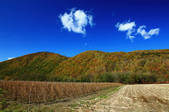 tkf001_554681