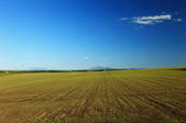 tkf001_554690