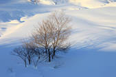 tkf001_555015