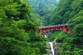 tkf001_555099