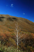 tkf001_555387