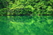 tkf001_555428