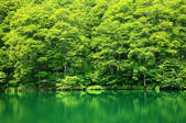 tkf001_555479