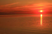 tkf001_555962