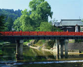 tkf001_557307