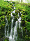 tkf001_557511
