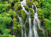 tkf001_557512