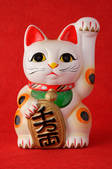 tkf001_558077