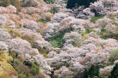 tkf001_560405